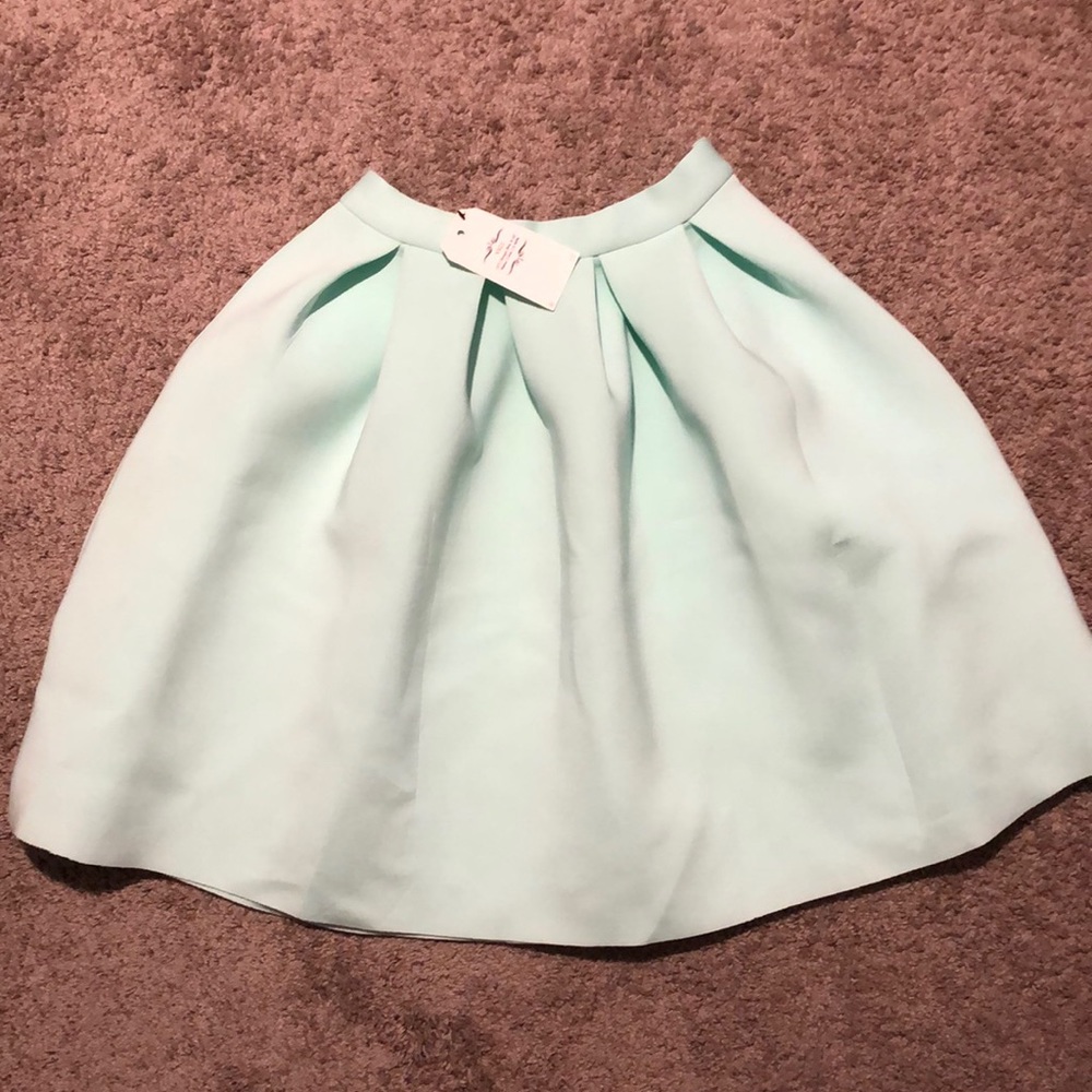 NWT Mint Midlevel Skirt